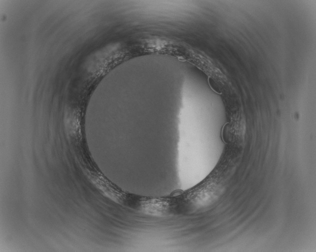 X0000081630754200702121704