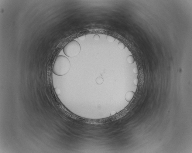 X0000081630755200702121704