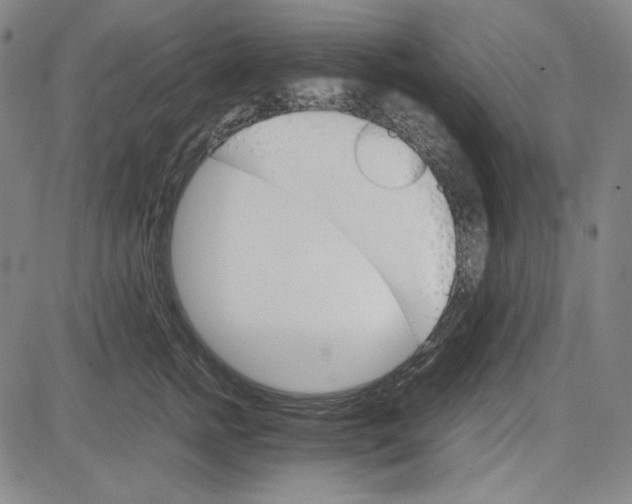 X0000081630758200702121704