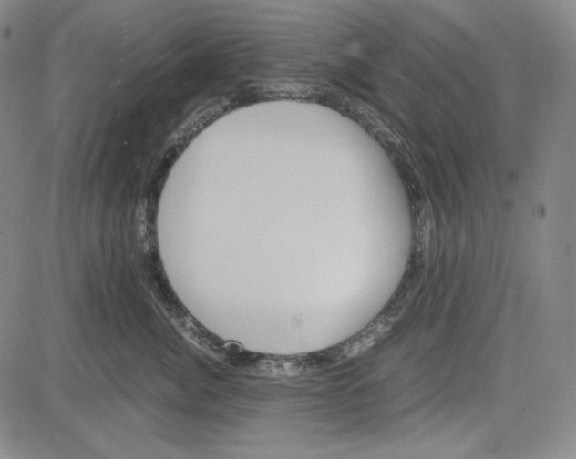 X0000081630764200702121705