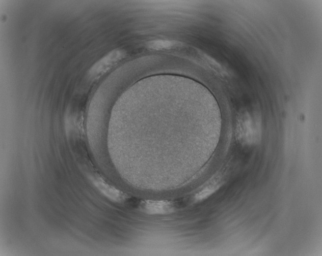 X0000081630766200702121705
