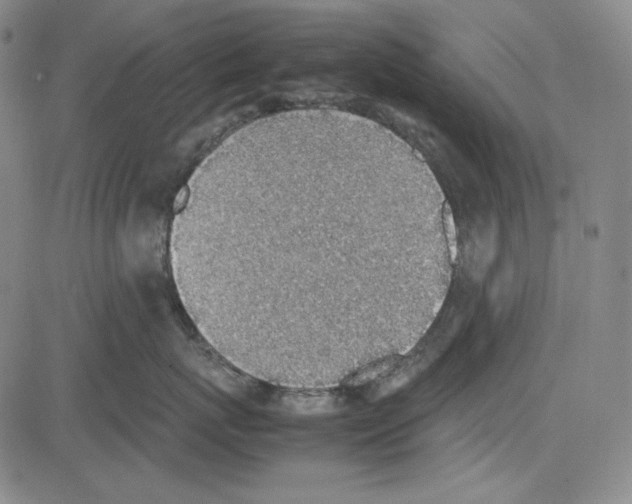 X0000081630767200702121705