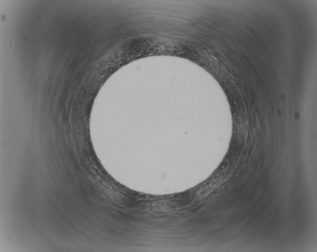 X0000081630769200702121704