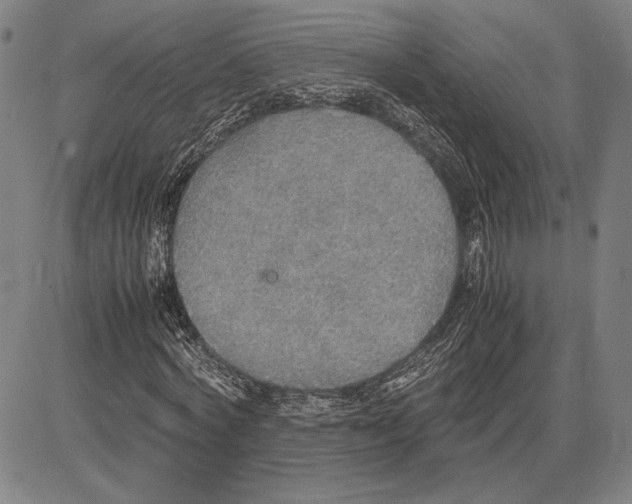 X0000081630772200702121704