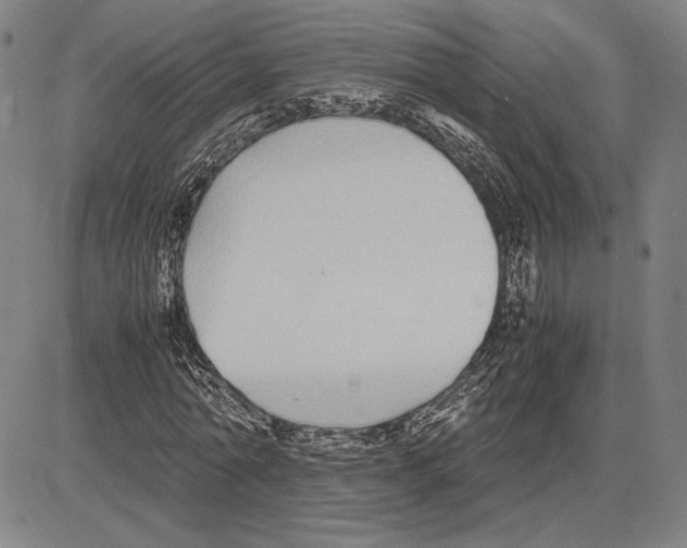 X0000081630774200702121704