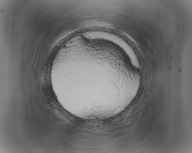 X0000081630775200702121704