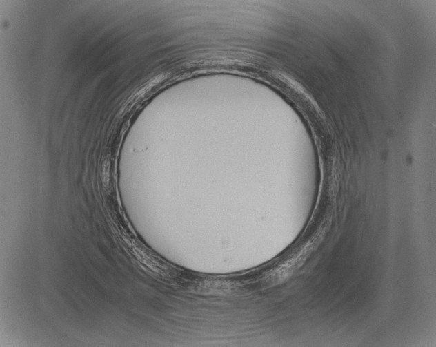 X0000081630777200702121704