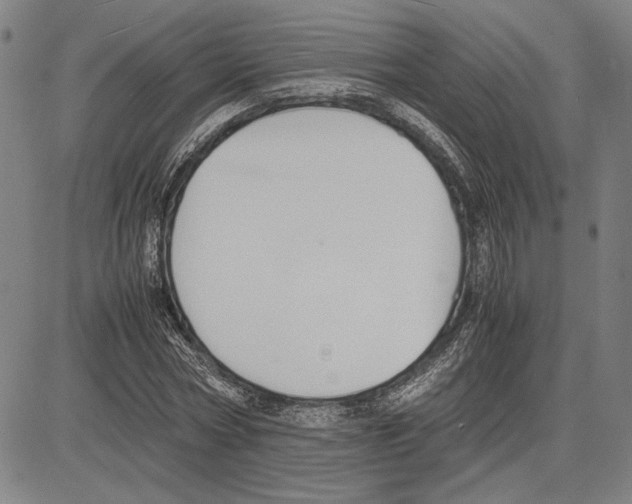 X0000081630778200702121704