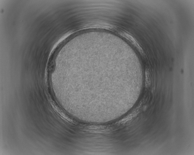 X0000081630780200702121704
