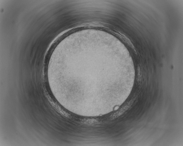 X0000081630784200702121704