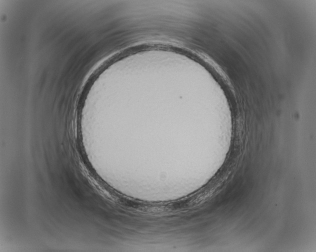 X0000081630791200702121703