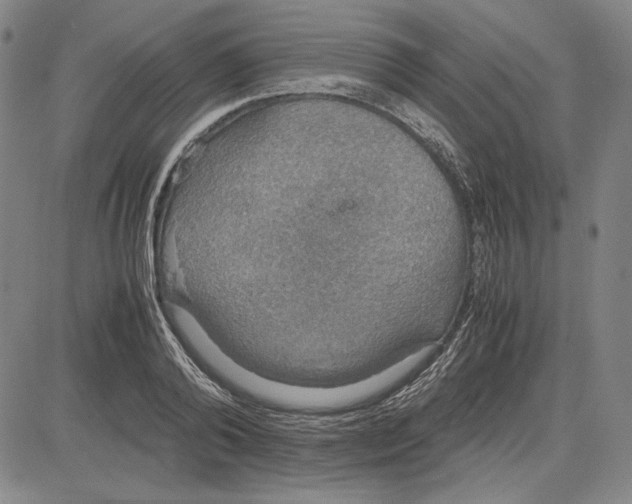 X0000081630792200702121703
