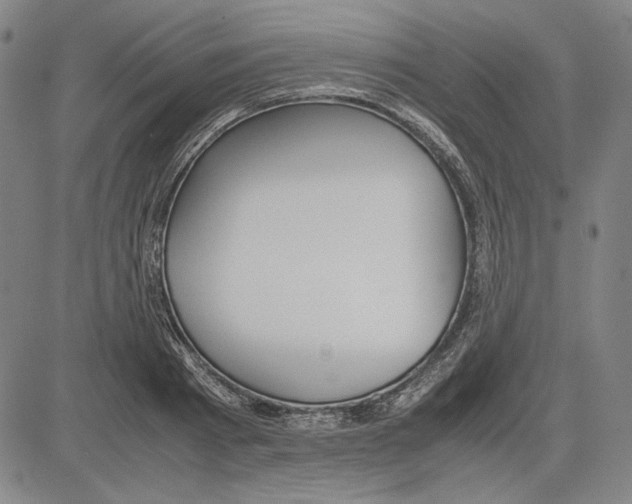 X0000081630793200702121703