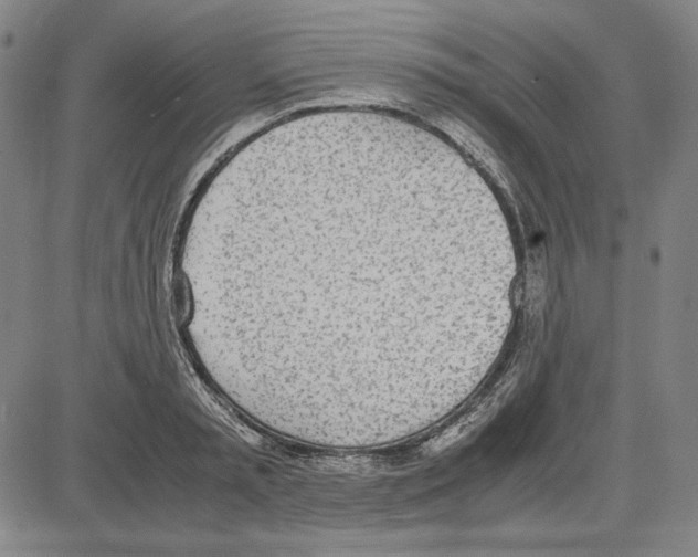 X0000081630797200702121703