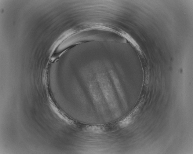X0000081630806200702121703