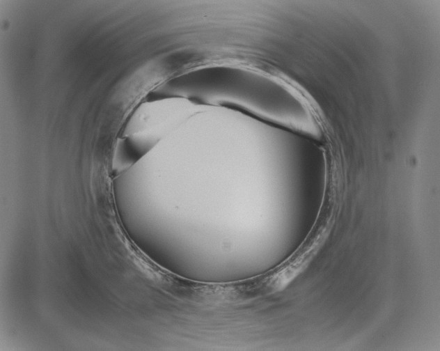 X0000081630809200702121703