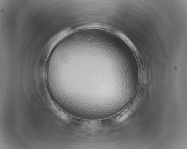 X0000081630813200702121703