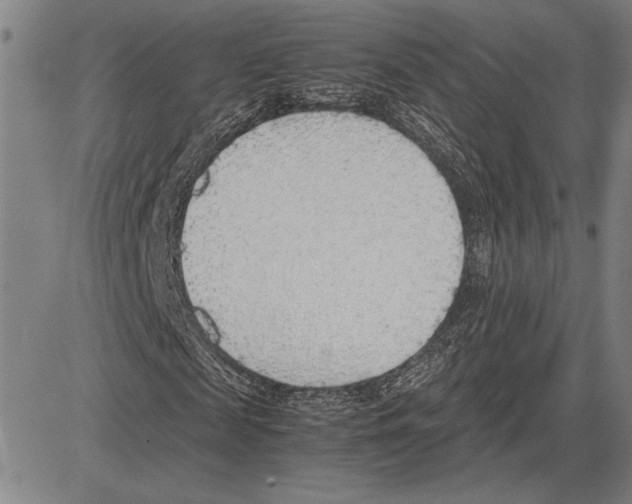 X0000081630817200702121702