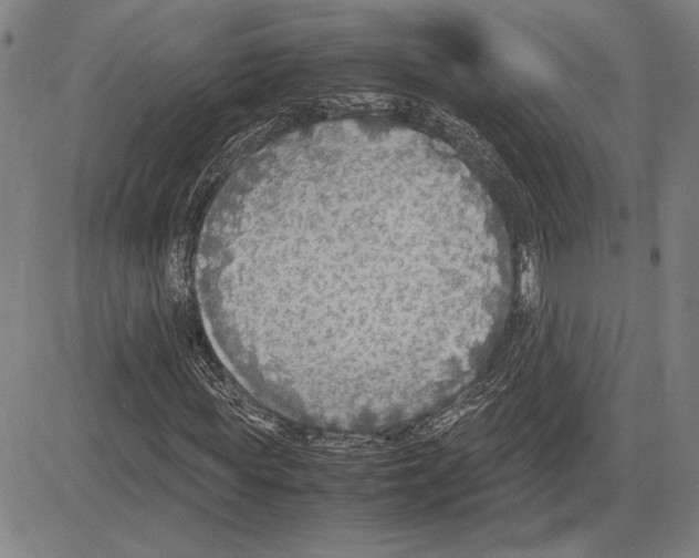 X0000081630819200702121702