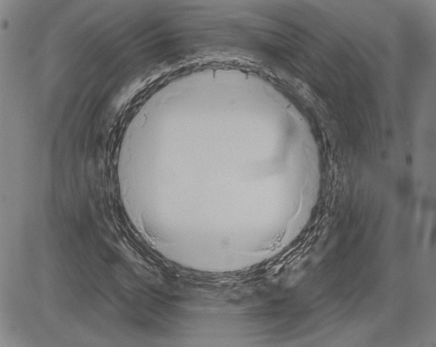 X0000081630824200702121702