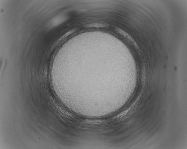 X0000081630825200702121702