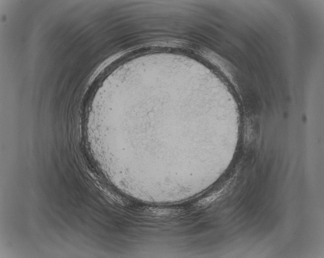 X0000081630829200702121703