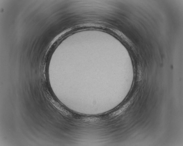 X0000081630830200702121703