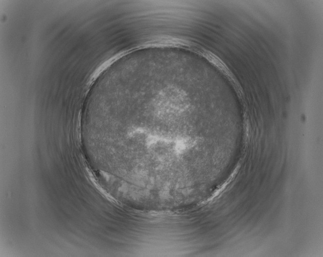X0000081630842200702121703