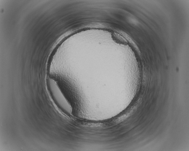 X0000081630845200702121703
