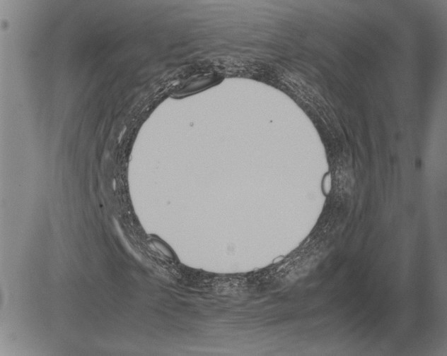 X0000081630865200702121702