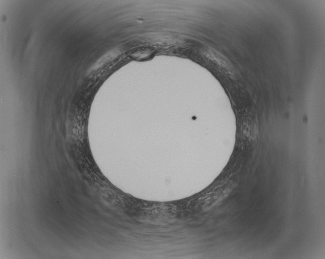 X0000081630869200702121702
