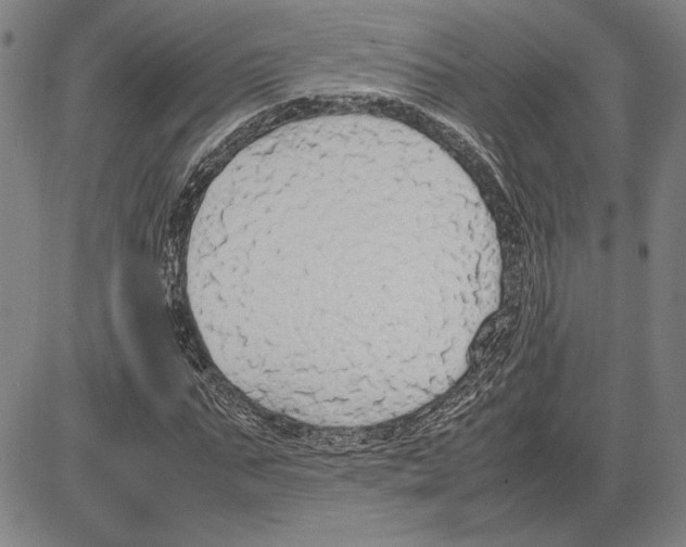 X0000081630871200702121702