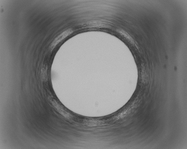 X0000081630873200702121702