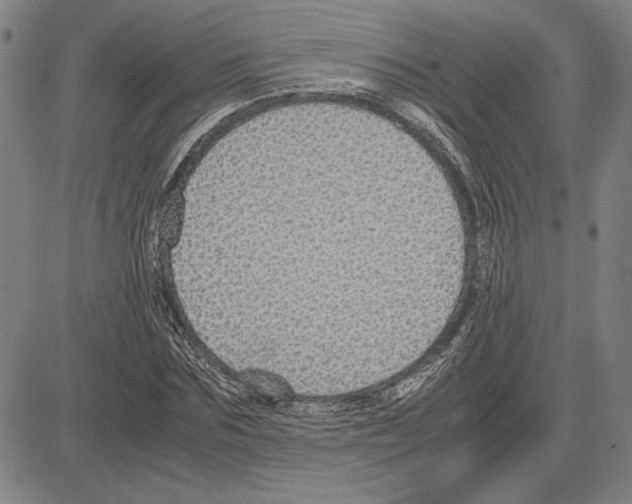 X0000081630875200702121702