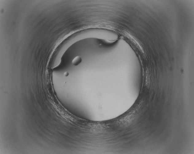 X0000081630876200702121702