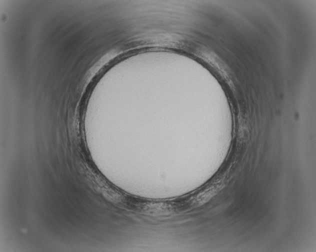 X0000081630883200702121702