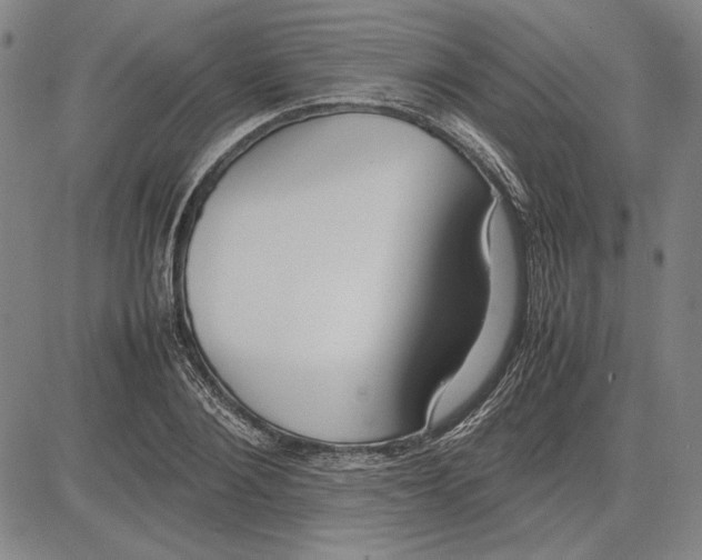 X0000081630884200702121702