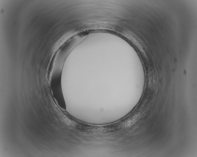 X0000081630885200702121702