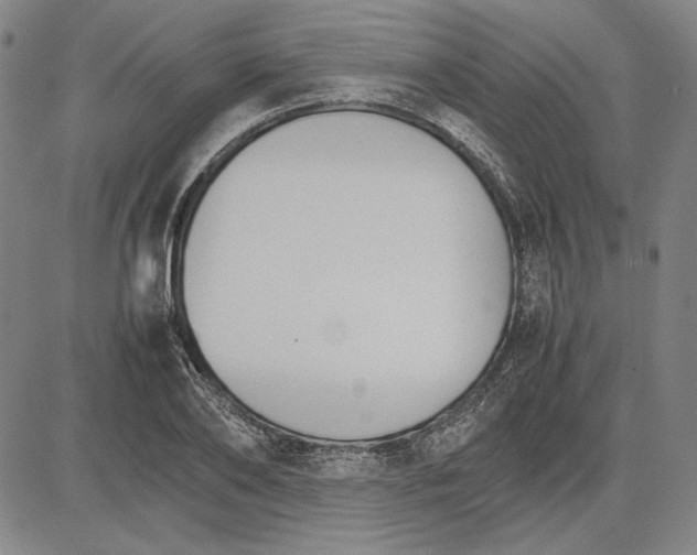 X0000081630886200702121702
