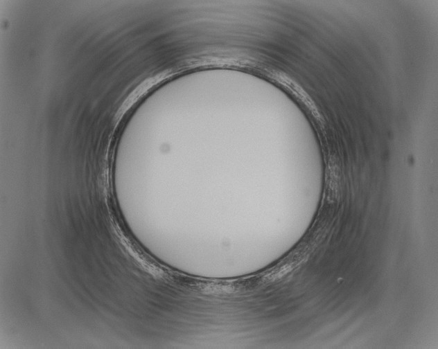 X0000081630890200702121702