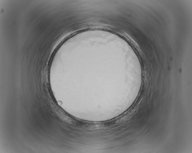 X0000081630891200702121702