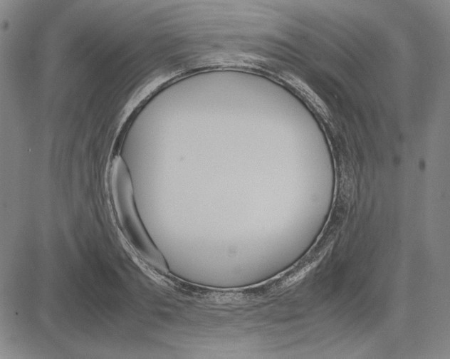 X0000081630893200702121702