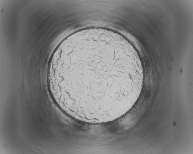 X0000081630903200702121702