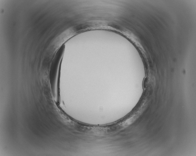 X0000081630905200702121701