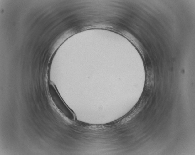 X0000081630906200702121701