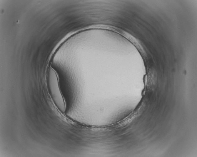 X0000081630908200702121701