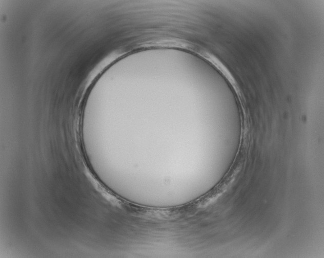 X0000081630909200702121701