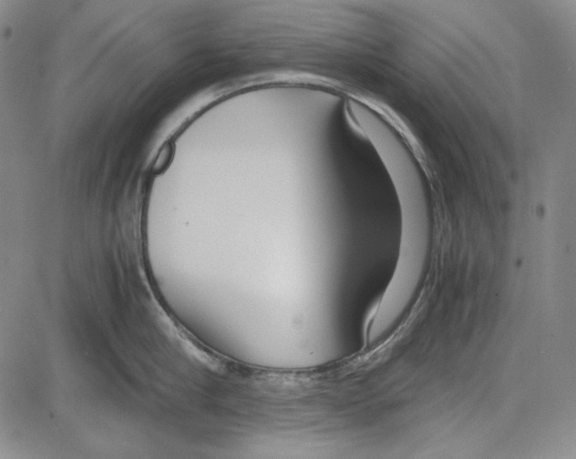 X0000081630910200702121701