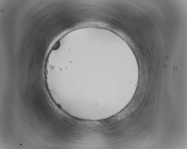 X0000081630912200702121701