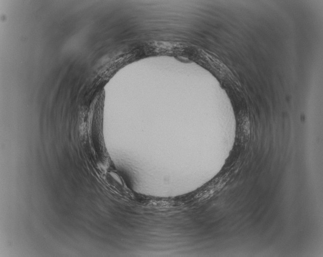 X0000081630914200702121701